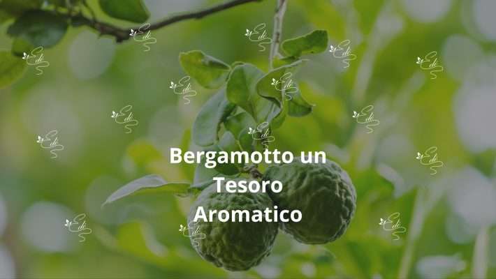 Bergamotto un Tesoro Aromatico